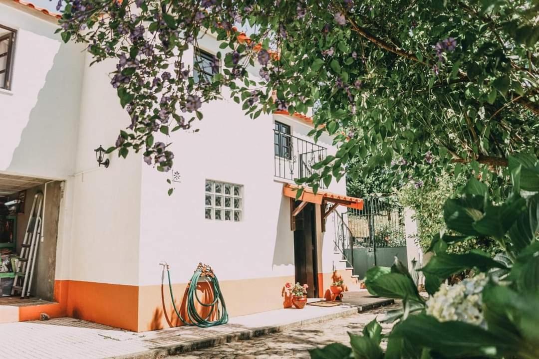 Casa Da Milharica Βίλα Figueiro Dos Vinhos Εξωτερικό φωτογραφία