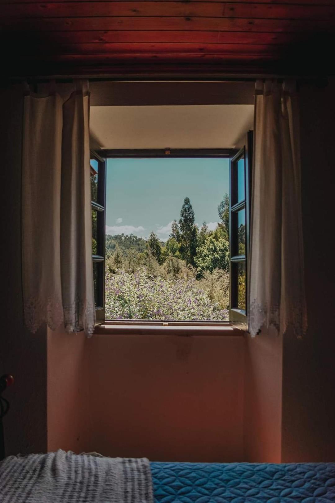 Casa Da Milharica Βίλα Figueiro Dos Vinhos Εξωτερικό φωτογραφία